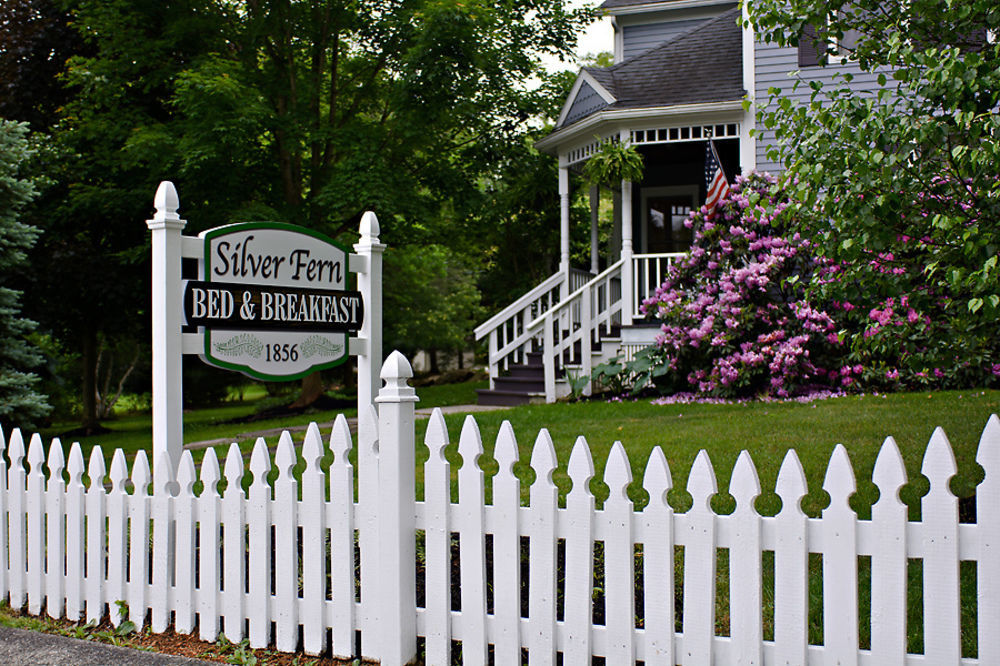 Silver Fern Bed And Breakfast Peninsula Dış mekan fotoğraf